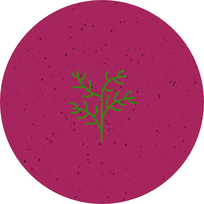 Beet Le Juice